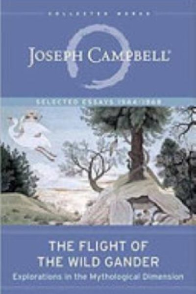 Cover of The Flight of the Wild Gander