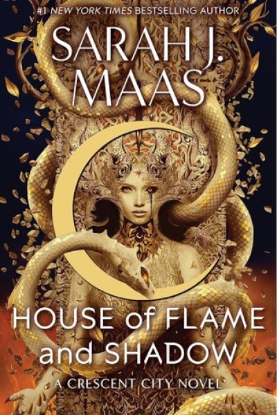 Cover of House of Flame and Shadow